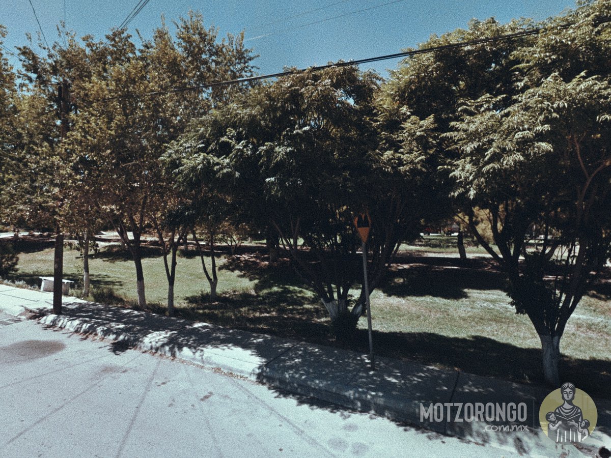 ¿Sabías que… existe un parque llamado Motzorongo a unos pasos del centro comercial más grande de Ciudad Juárez?

Descúbrelo aquí 👉🏻 motzorongo.com.mx/un-lugar-ocult…