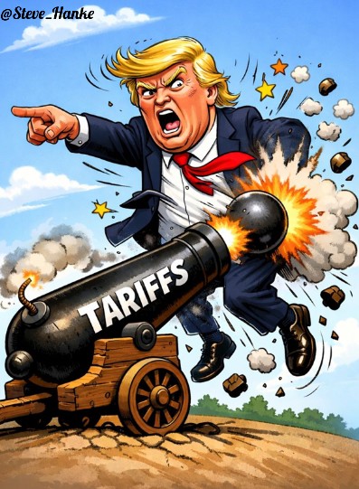 Steve Hanke tweet media