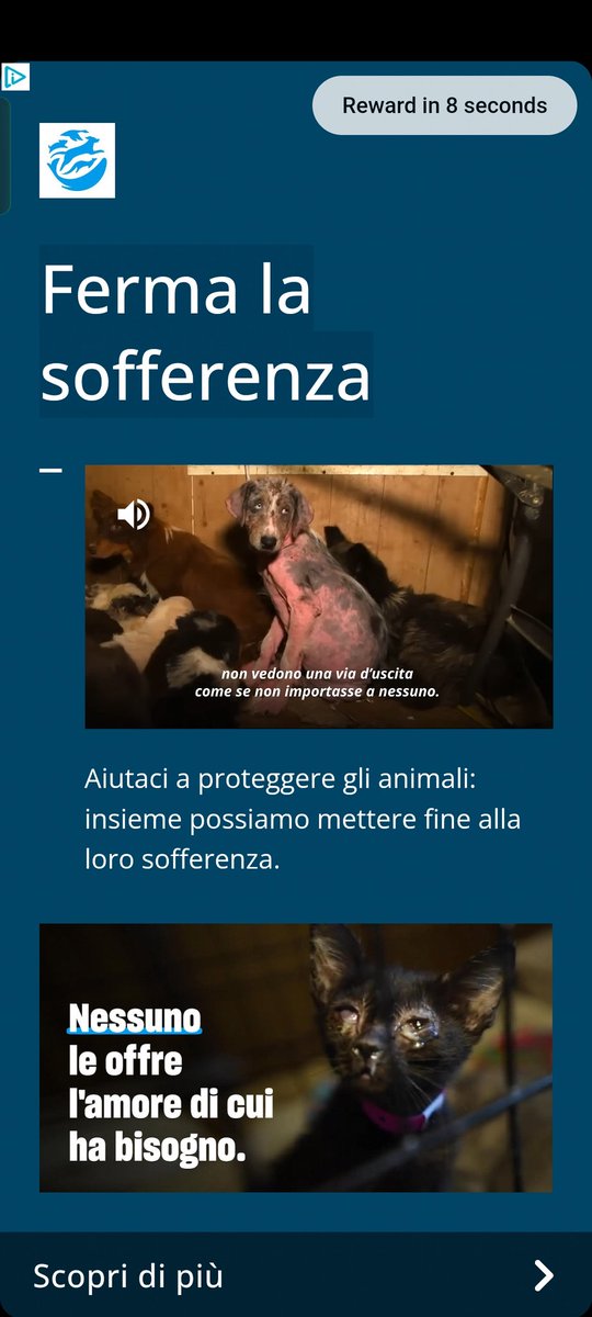 FERMIAMO LA SOFFERENZA DI TUTTI GLI ANIMALI ♥️🙏👍🤝