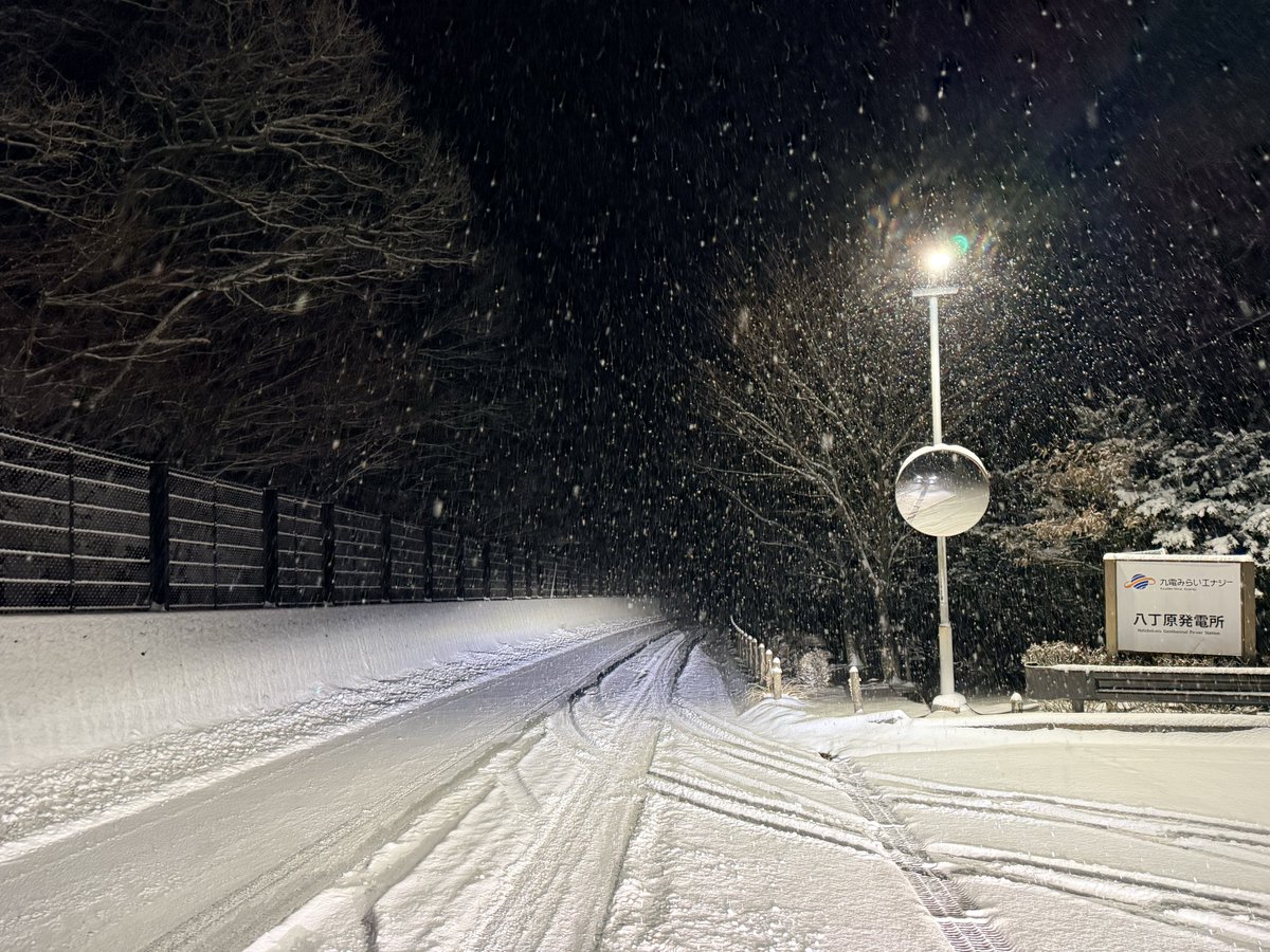 定期便】 ・1月24日(土) 天気☁️▷積雪100cm ・気温-4℃(早朝6時現在