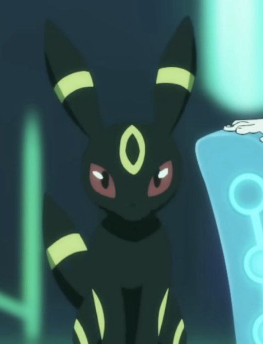 シンダリッテン tweet media