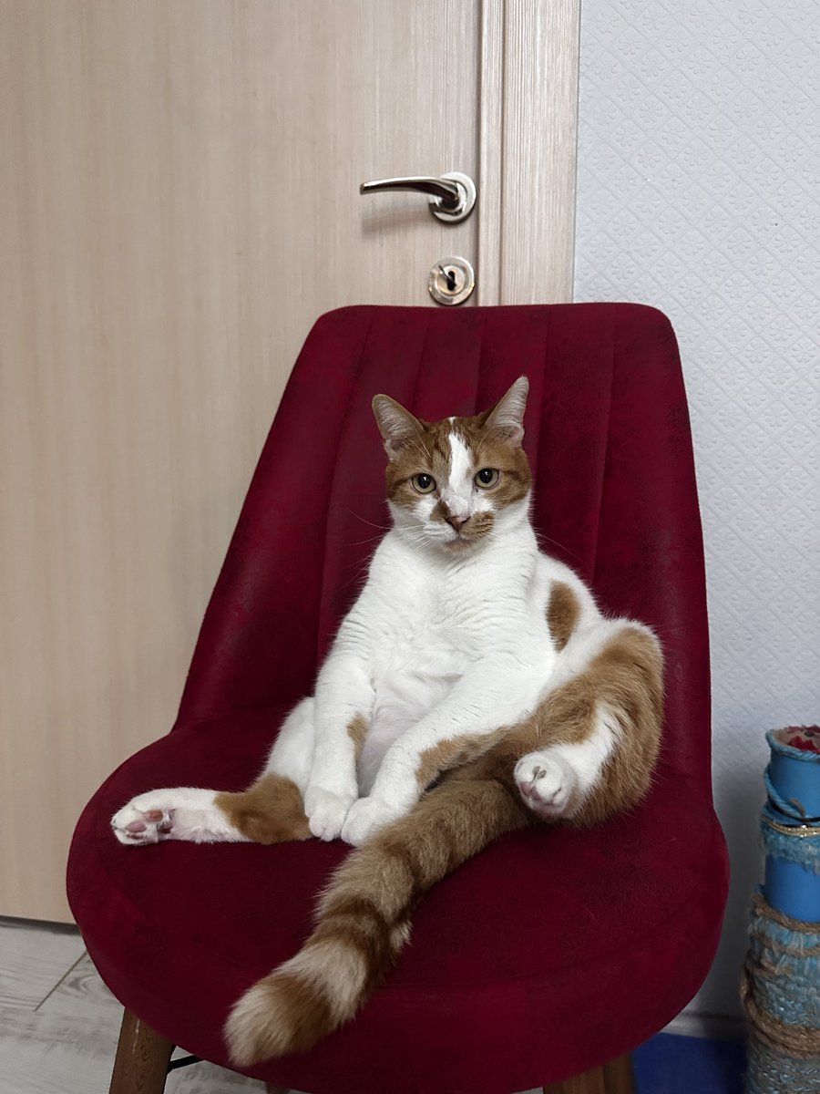 Hayırdır kardeş ?