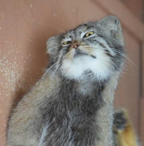 Live___forever_'s tweet image. [New Release]

bankfloodmaebi [ @bankfloodmaebi ] - zephyrhills (feat. longlivemir [ @babyfacemir ]) (prod. one47 [ @worldbfreefan95 ] + scoot [ @sc00t15 ]) (Single)

Out now on SoundCloud

soundcloud.com/bbmaebi/zephyr…