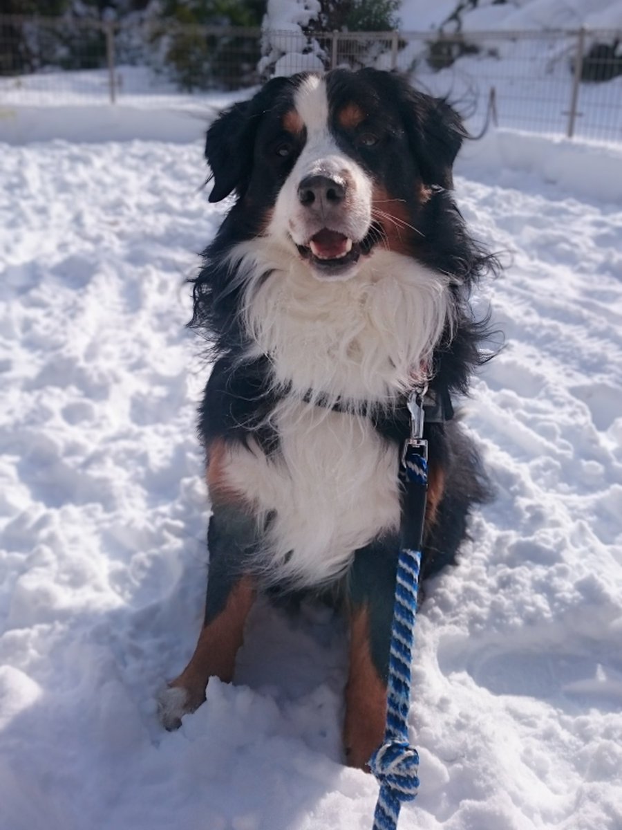 朝だね、おはよう

20160124