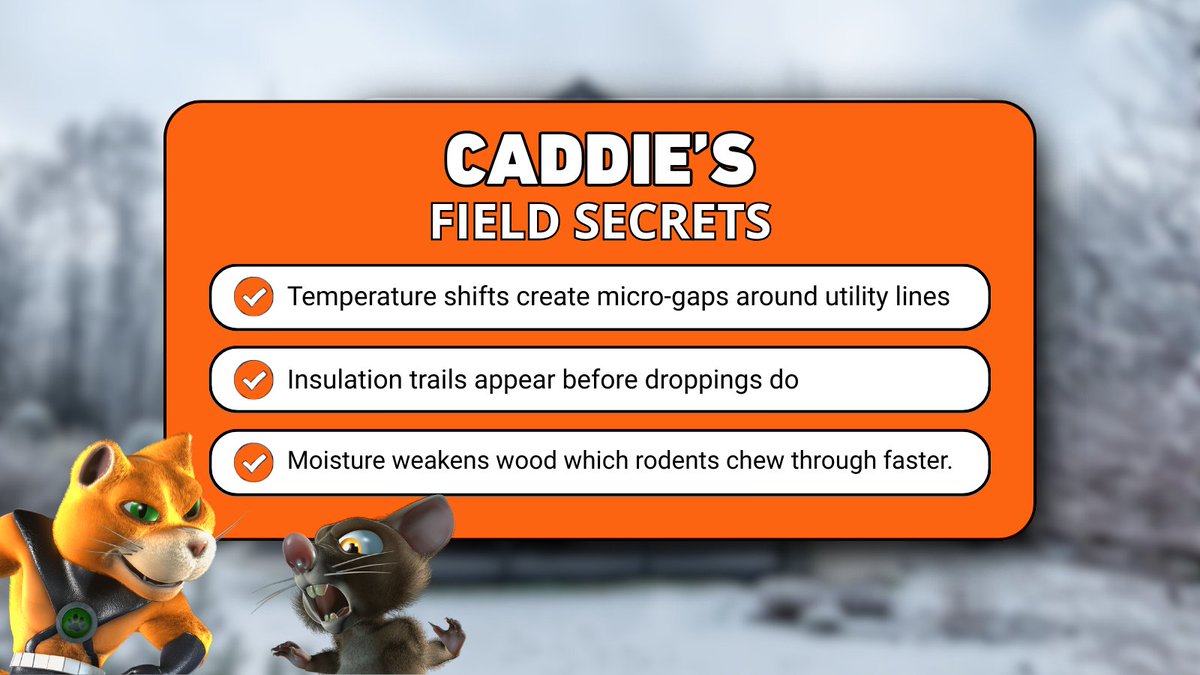 Winter pest activity starts with subtle structural shifts most people never see. Our techs catch the early signs before they become expensive problems.

Book a detailed inspection: bit.ly/47rlM9e