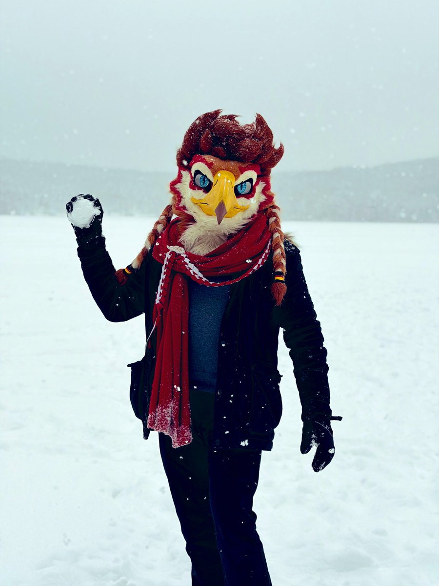 Who’s ready for some snow this weekend~? ❄️✨

#FursuitFriday