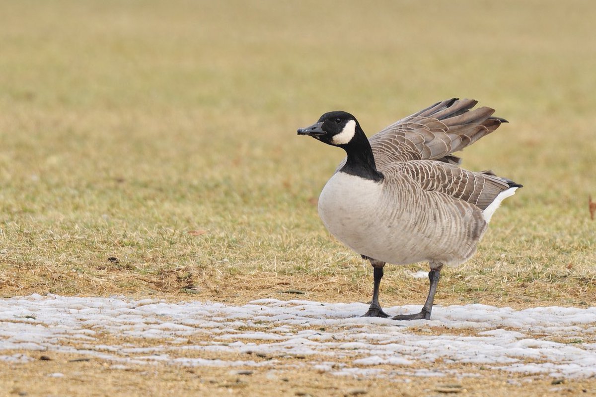 EJ Bartolazo tweet media