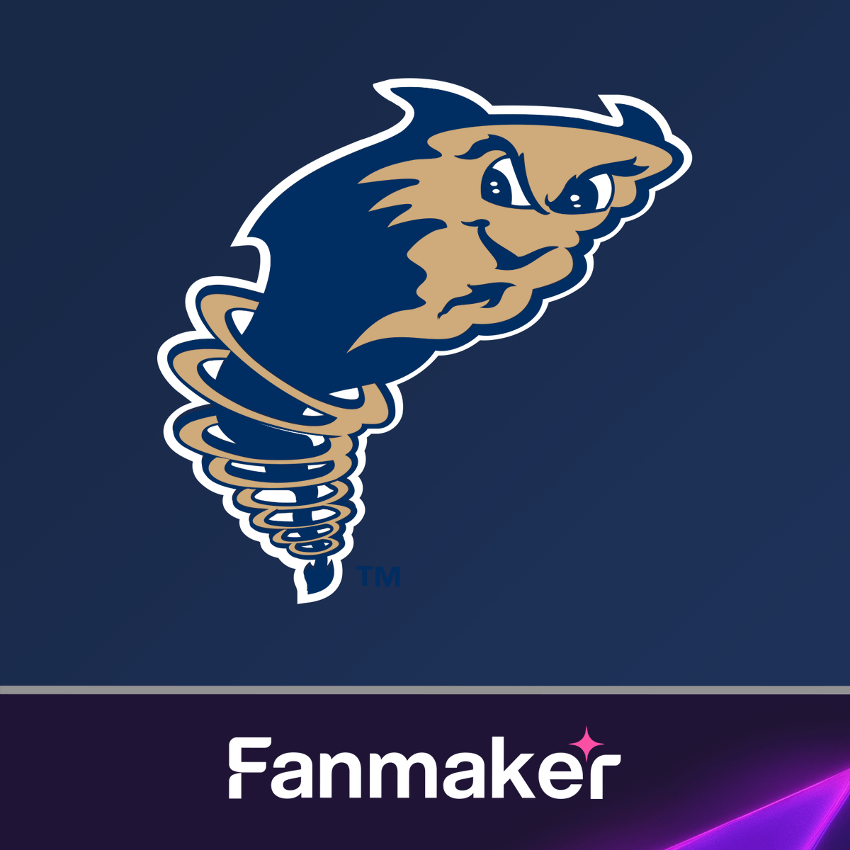 Fanmaker tweet media