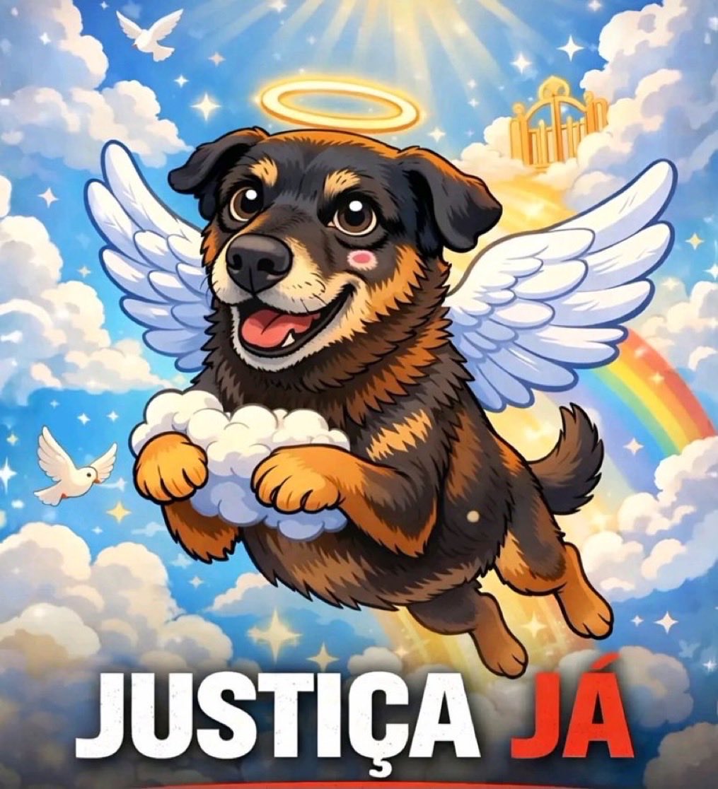 acervo doguinhos tweet media