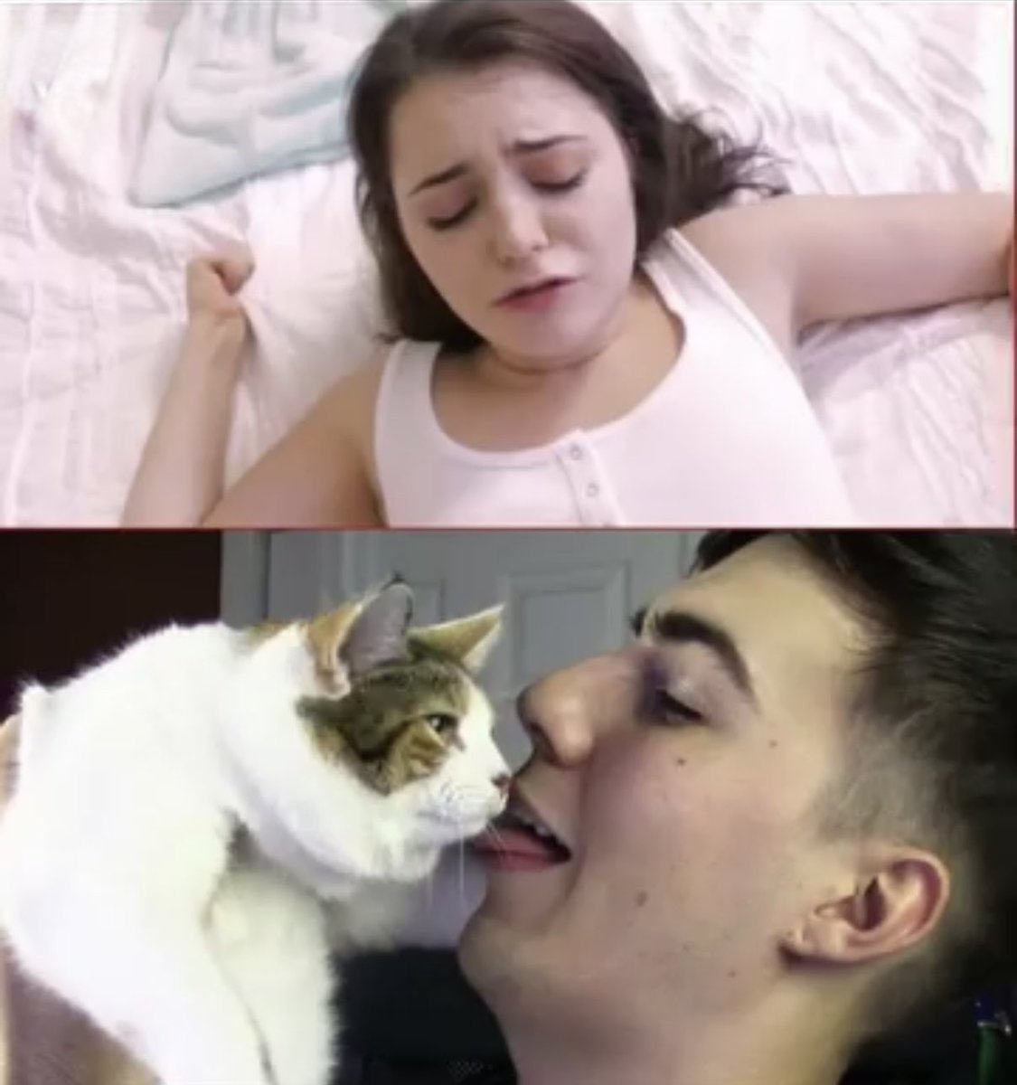 ᵣₑᵢₖₒ (@reiko__xx) on Twitter photo 