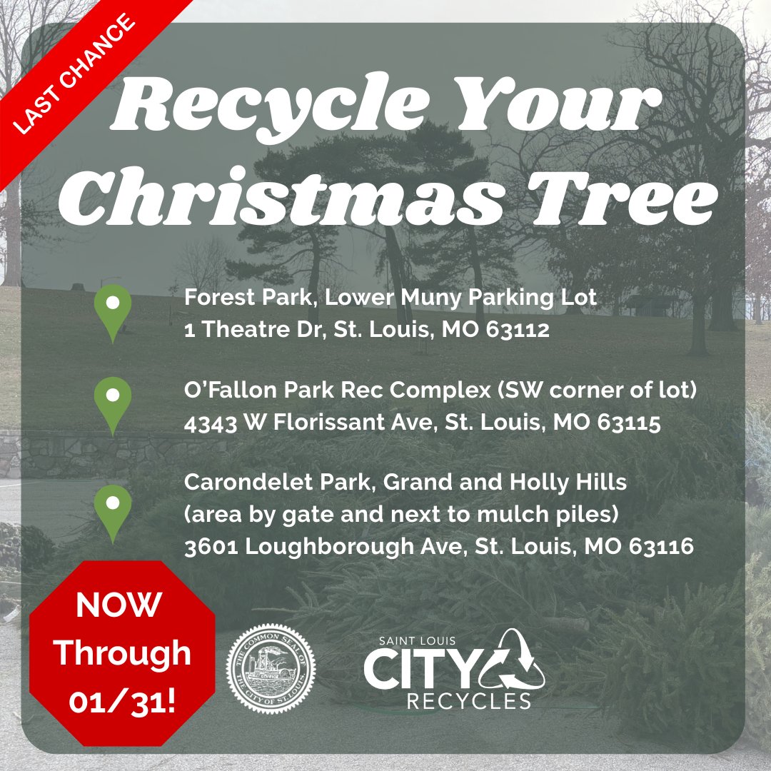 LAST CALL! You can still recycle your live Christmas trees from now until Jan 31st.

Please remember to remove all lights, tinsel, ornaments and decorations before dropping off your tree.

#ChristmasTreeRecycling #RecycleResponsibly #STLCityRecycles #STL #STLCity