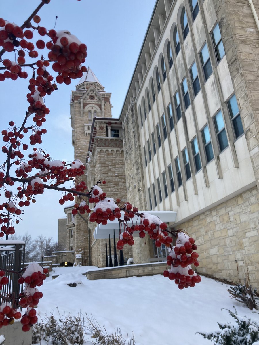 KU Natural History Museum tweet media