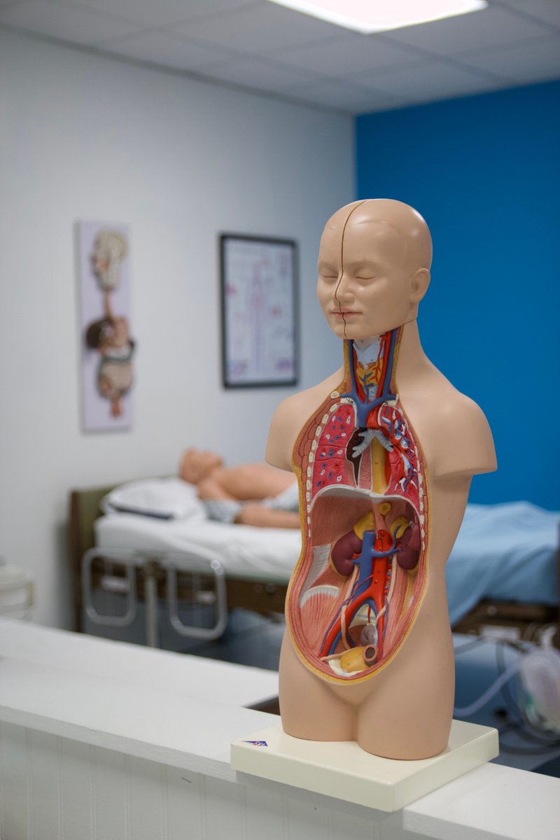 Ultimate Medical Academy tweet media