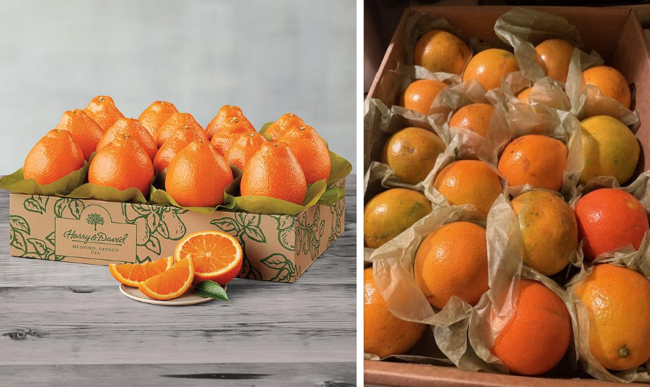 icybreeze's tweet photo. getting fruit from @HarryandDavid sometimes feels like ordering off https://t.co/znVSP8HYKE, but without the cheap wish prices. $50 and they send this mushy garbage?!?! https://t.co/t5TLz8Ufp0