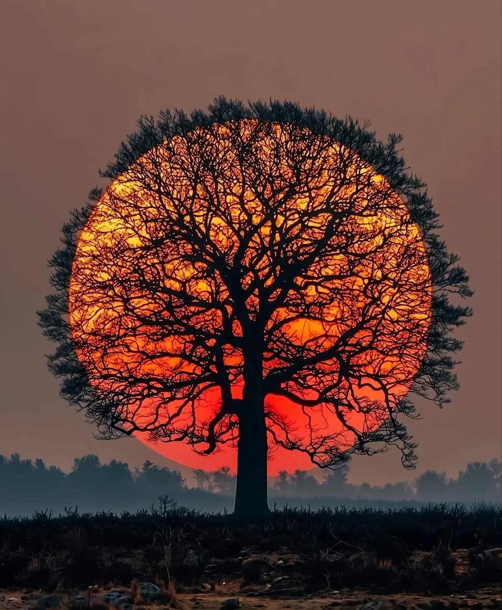 Still, a great deal of light falls on everything.

- Vincent van gogh, Letter to his Brother