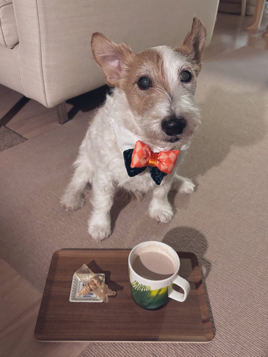 おはようさーん！
ナイスミドルな駒たん先生にはスペシャルな2種盛り〜♪