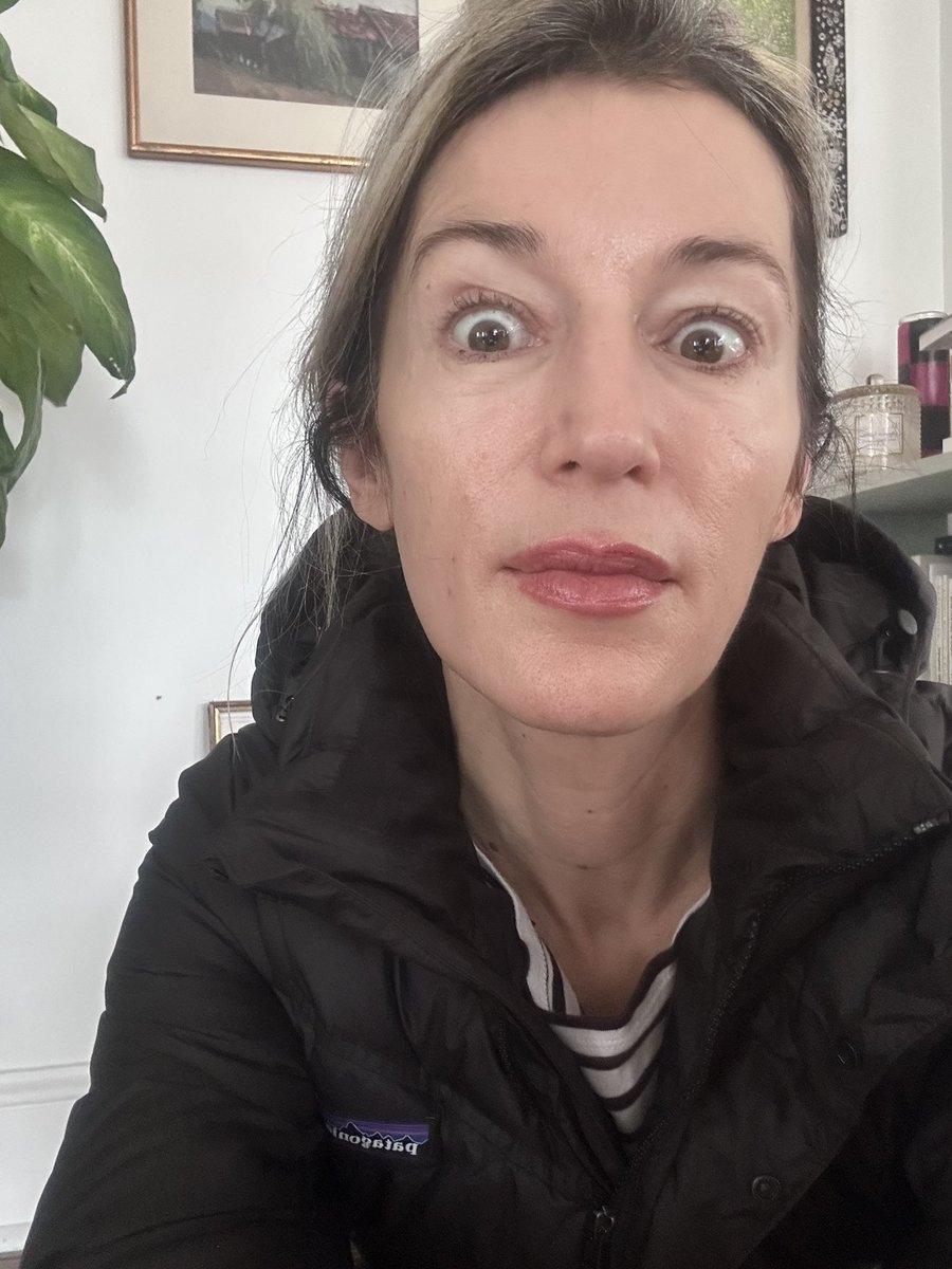 Alina Stefanescu tweet media