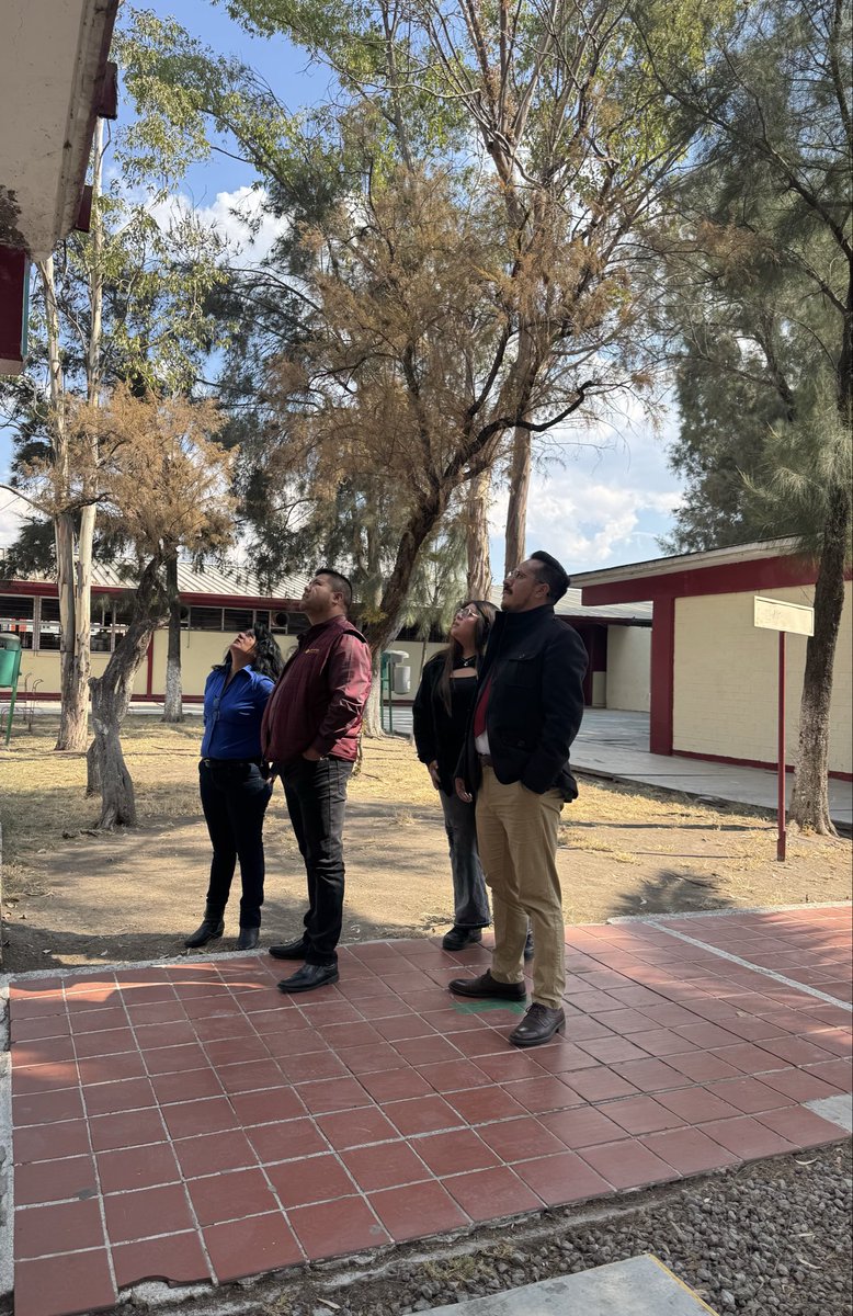 Conalep Plantel Chimalhuacán tweet media