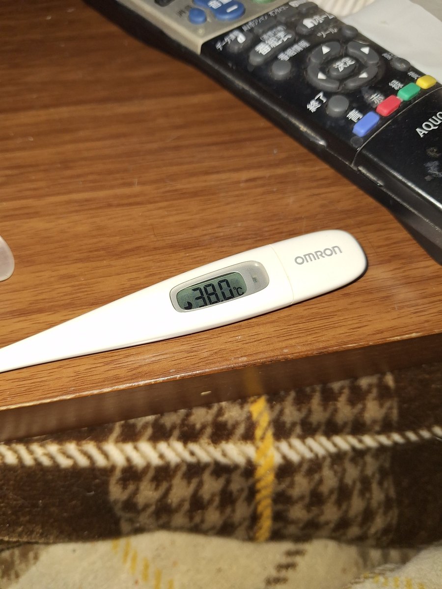 久々に熱出た