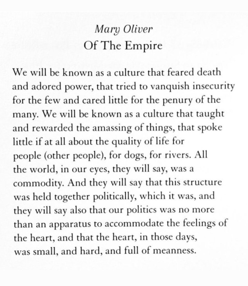 Dr. Maya C. Popa (@mayacpopa) on Twitter photo 