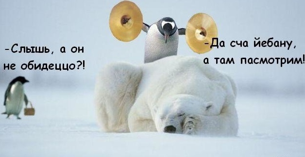 В тираже 🇷🇺 (@in_circulation) on Twitter photo 