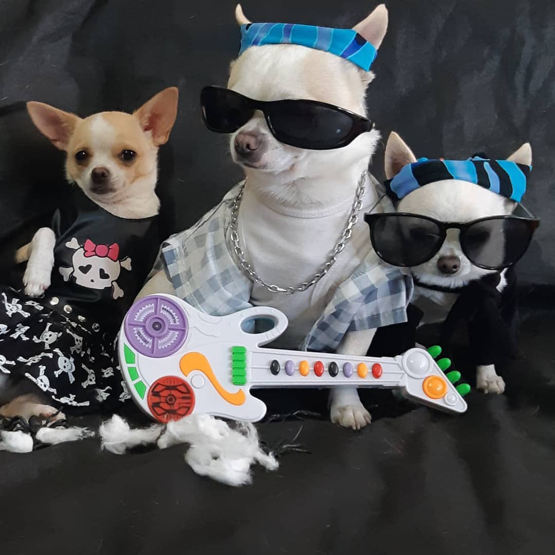 ์ผ์์์ ๐ฑํคํธ๋ญ tweet media