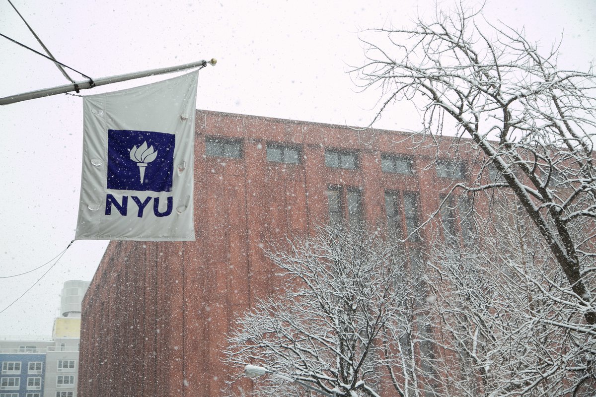 New York University tweet media