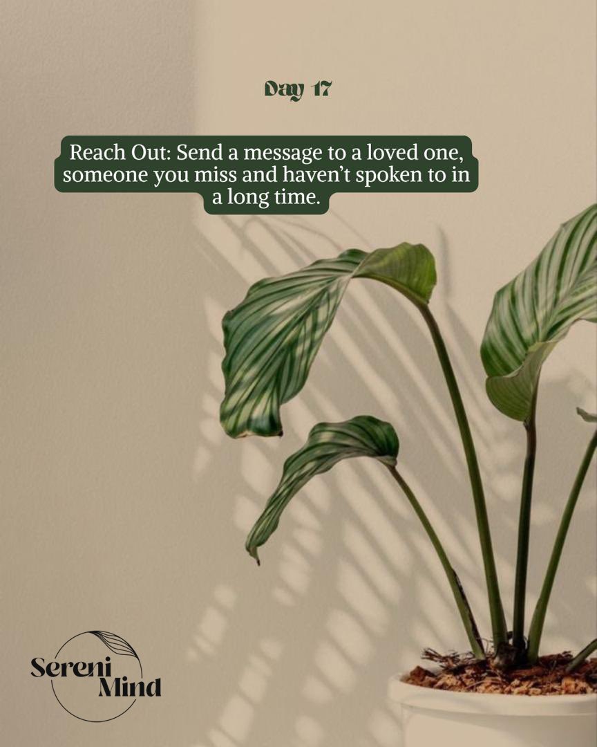 SereniMind tweet media