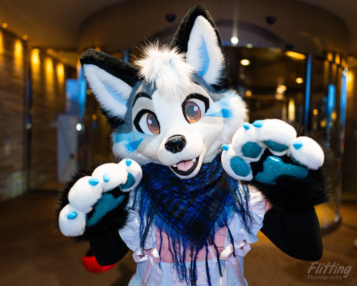 Bark :3 #FursuitFriday 

📸 <a href="/StAntwelm/">St Antwelm's Assumption</a> 
🧵 <a href="/Glitzy_Fox/">Glitzy Fox / GF Studios 🎀</a>
