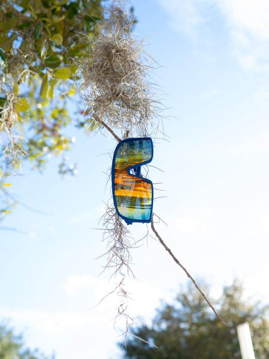 Gators Students tweet media