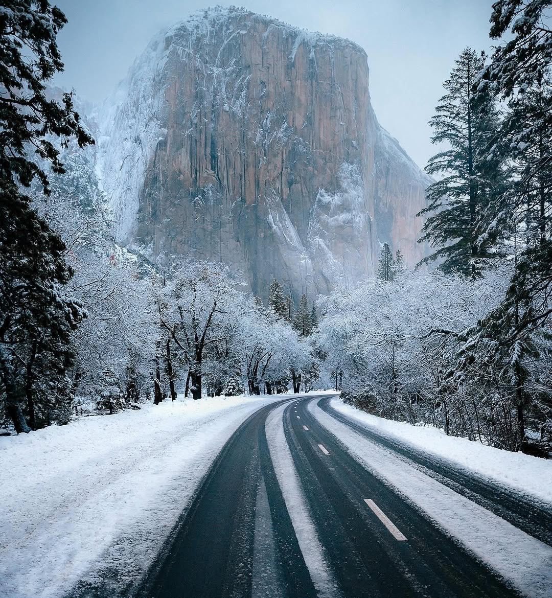 earthcurated's tweet image. Winter in Yosemite ❄️