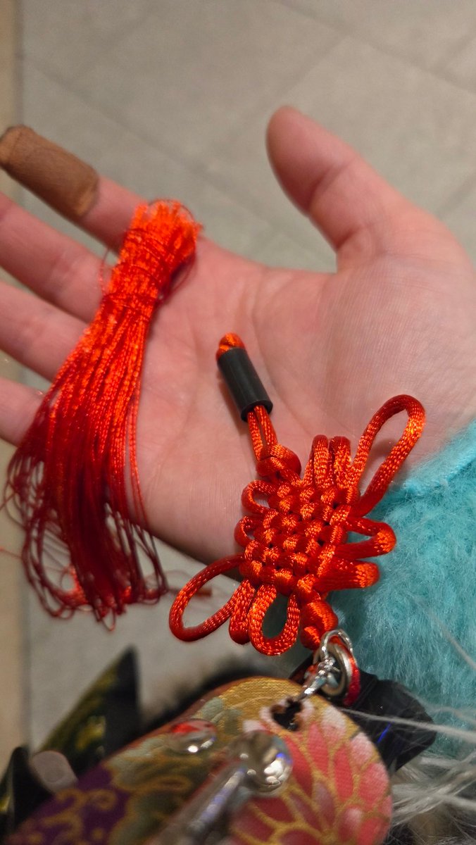 タッセル………タッセルとれた………(  ߹꒳​߹ )
トートバッグに引っかかっちゃったのかな……