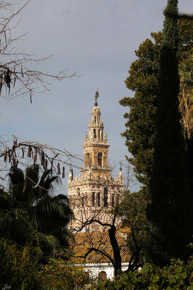 Desde #Sevilla al resto del mundo , descansen, amando Sevilla!