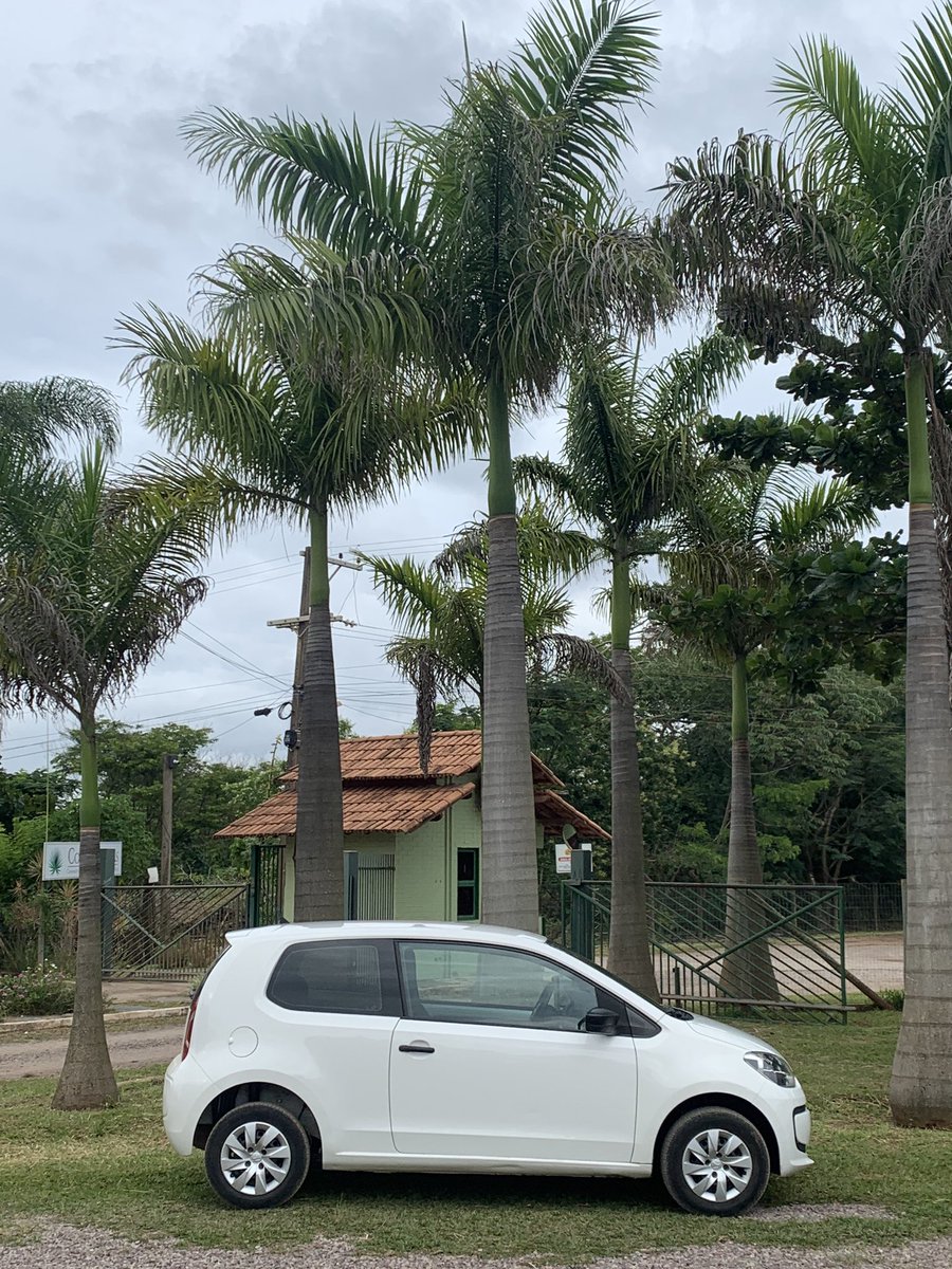 Lucy~ 🏳️‍⚧️ tweet media