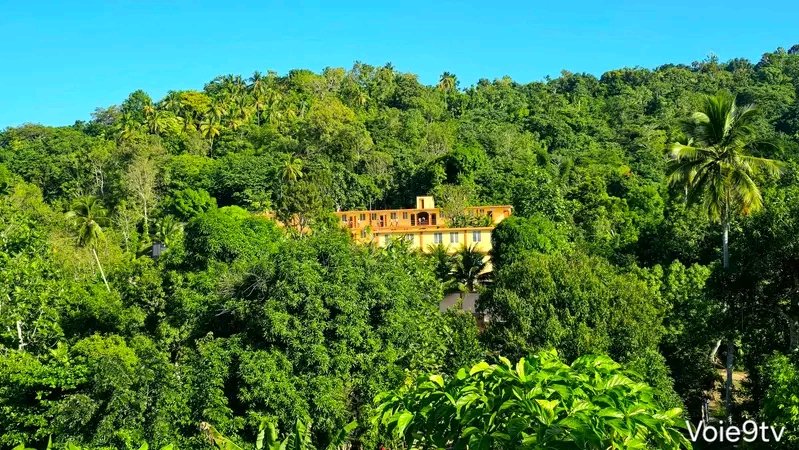 🇭🇹❤️😍

Nan Dammari

📸 Voie9 TV