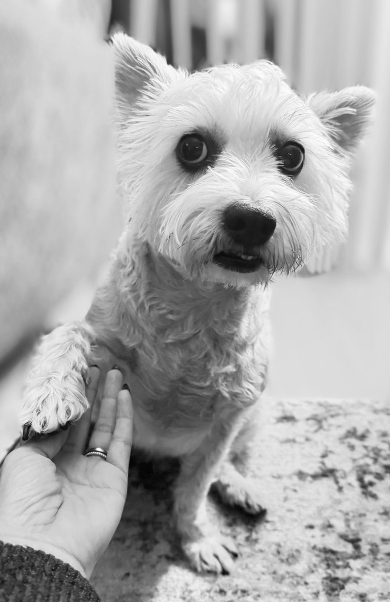 Teddy wanted to tell you…
You got this ♥️