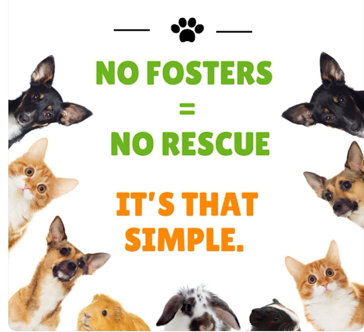 beeleevitonly's tweet photo. Fosters desperately needed #SouthTX #SETX https://t.co/45t8HrjBF1