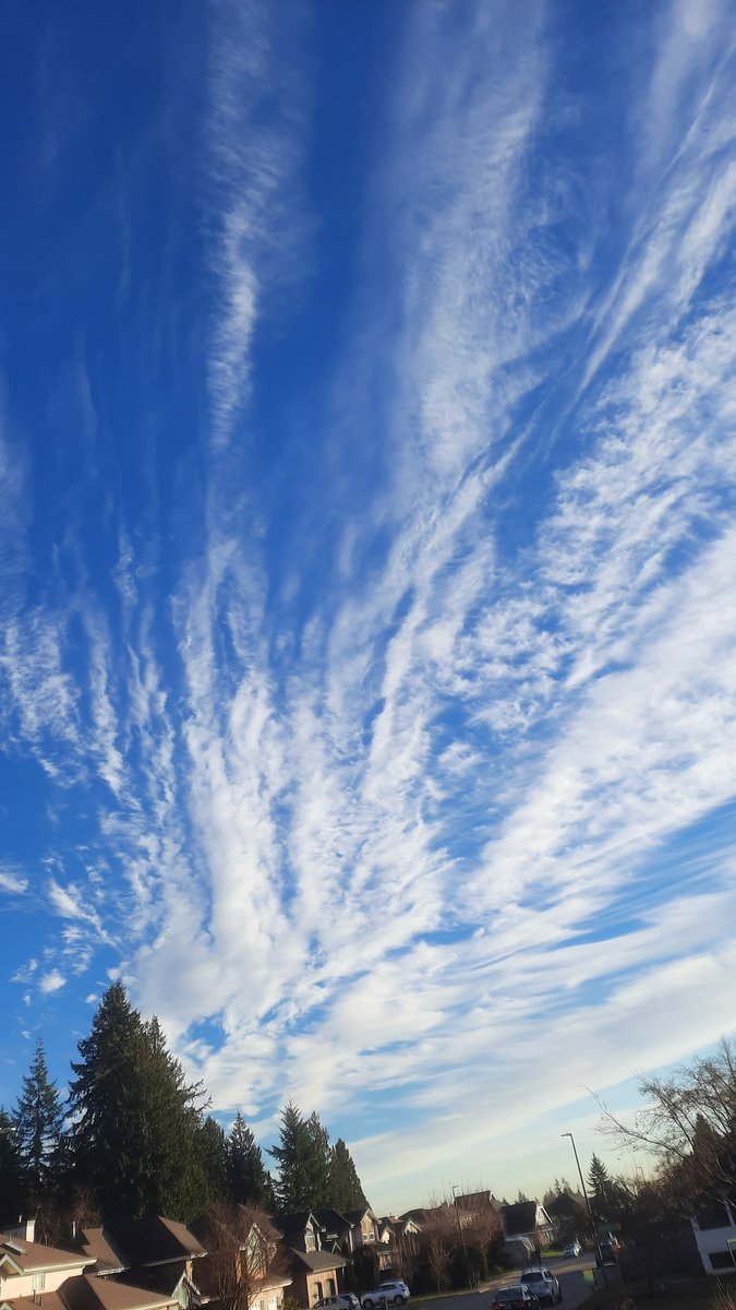 What kind of clouds are these ones, Altocumulus or Cirrus, or something else? <a href="/CBCQuirks/">Quirks & Quarks</a> <a href="/JWagstaffe/">Johanna Wagstaffe</a> <a href="/weathernetwork/">The Weather Network</a>