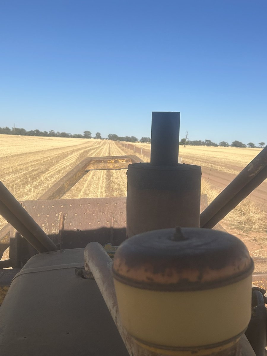 Dirtwork tweet media