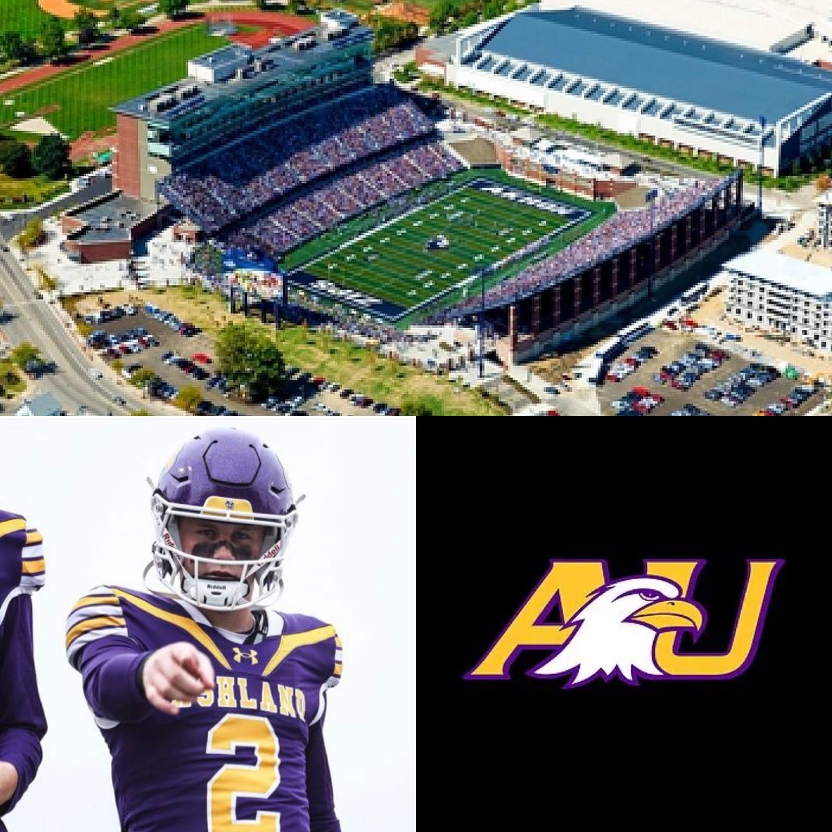 Chap Chapman tweet media