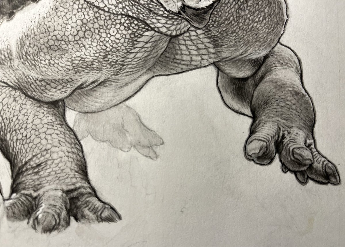 Dino toes wip (pencil, pen, ink wash)