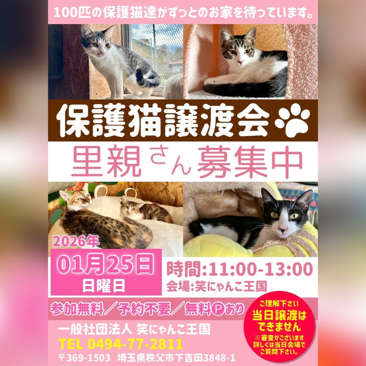 .

◎ #保護猫譲渡会 のお知らせ ◎

明日🚩
▼2025/01/25(日)11時～13時
▼入場無料/予約不要

保護猫をお迎えしていただけませんか？
王国自慢の100匹以上の猫ちゃん達が
家族を必要としています🍀

ケージレスで
ゆっくりと触れ合っていただけます❣️

ご参加を心よりお待ちしております🙇🏻‍♀️´-

.