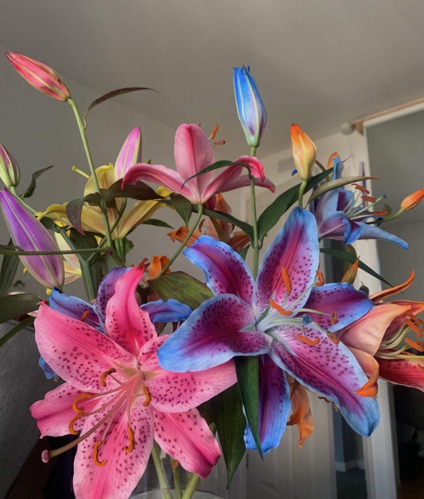 i3Moment's tweet image. Lilies