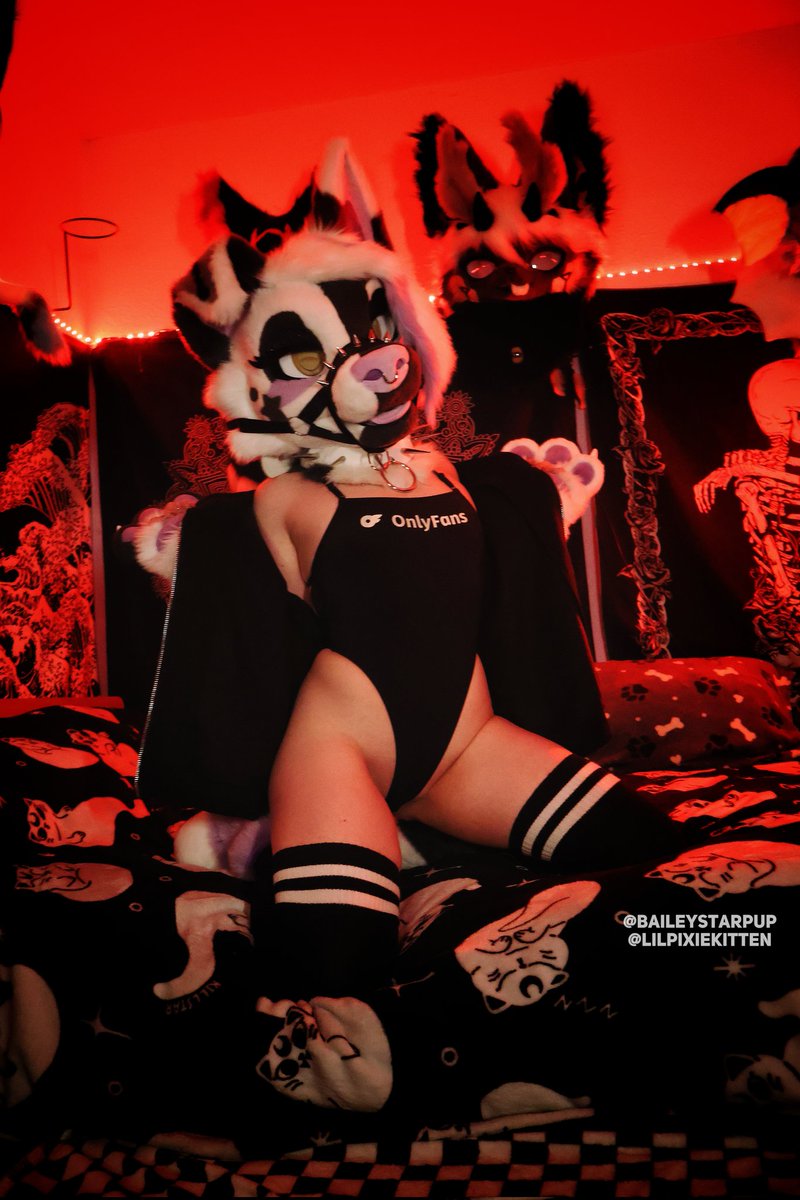 Lilpixiekitten (baileystarpup) tweet media