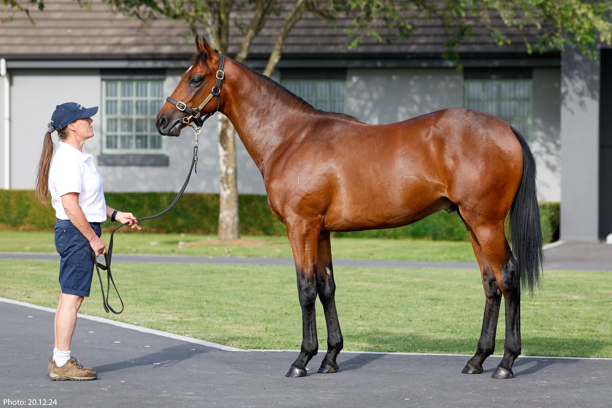 Elsdon Park tweet media