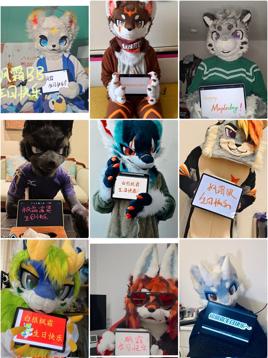 🐺枫霜 MapleFrost tweet media