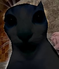 only that! a mirage ok? ok tweet media