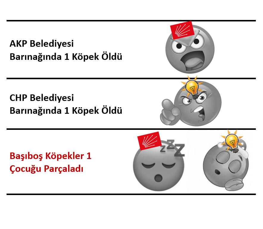 Güvenli Türkiye tweet media