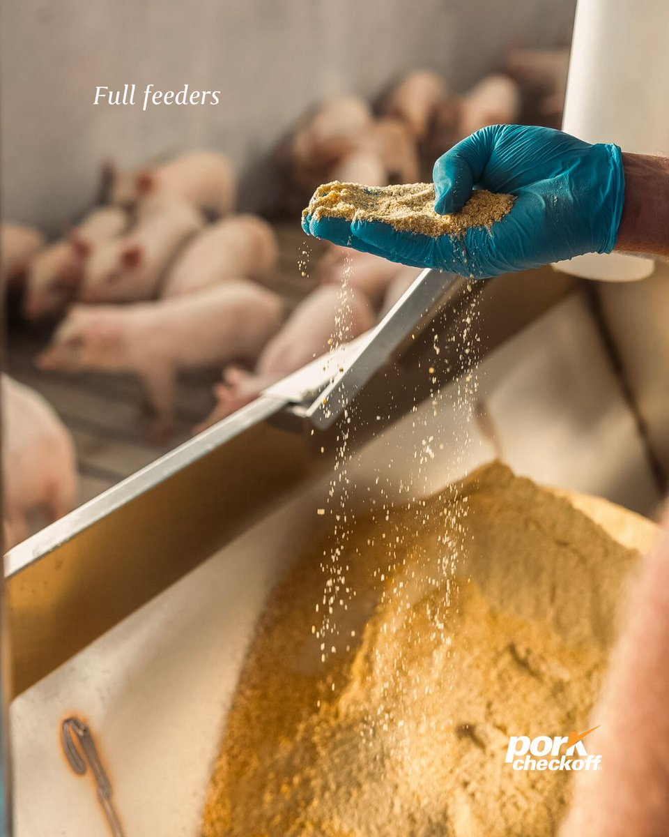 PorkCheckoff tweet media