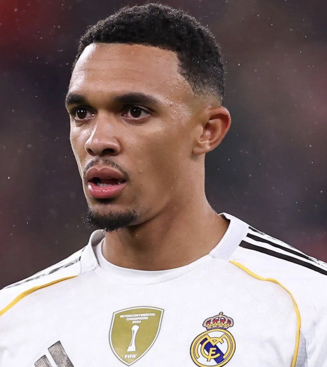 The City Shack tweet media